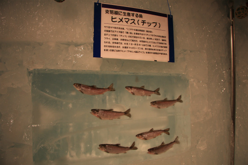b0003280_23165830.jpg