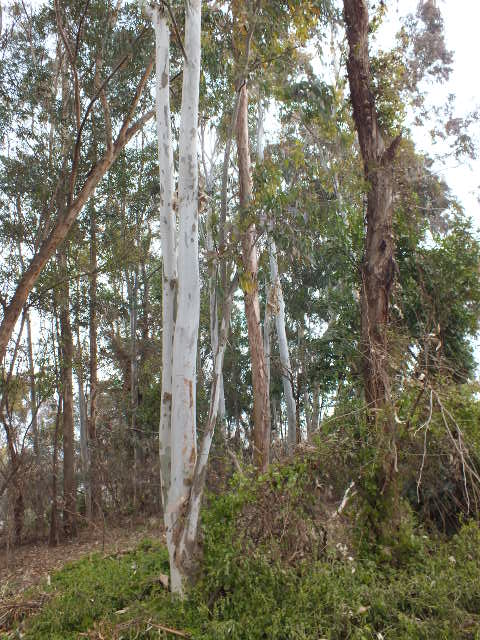 e0145782_17135779.jpg