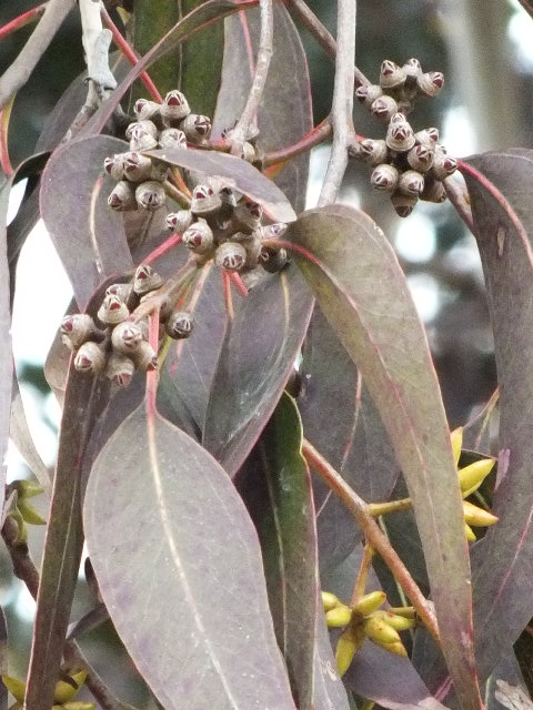 e0145782_171447100.jpg