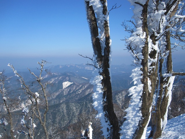 b0050787_012416.jpg