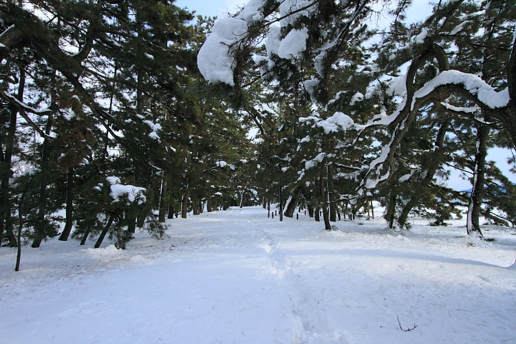 e0051888_23452473.jpg
