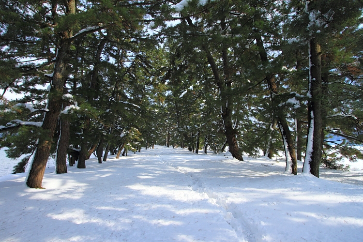 e0051888_23464889.jpg