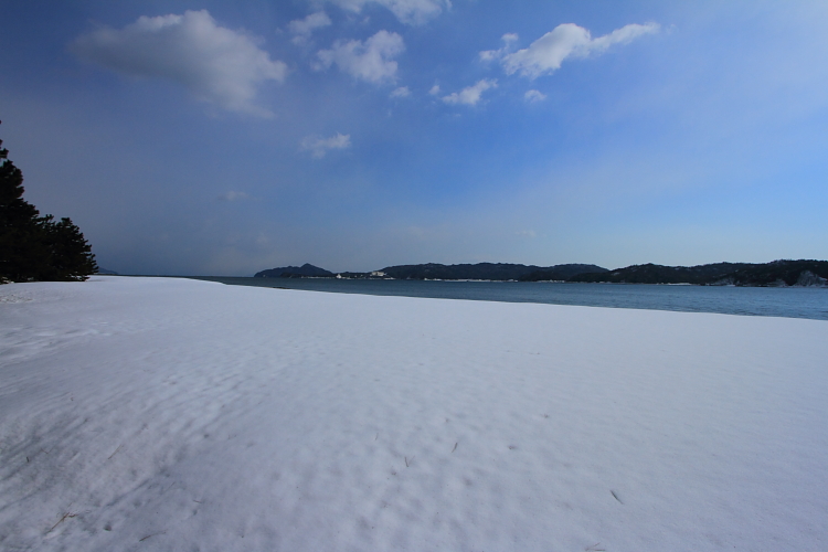 e0051888_23481354.jpg