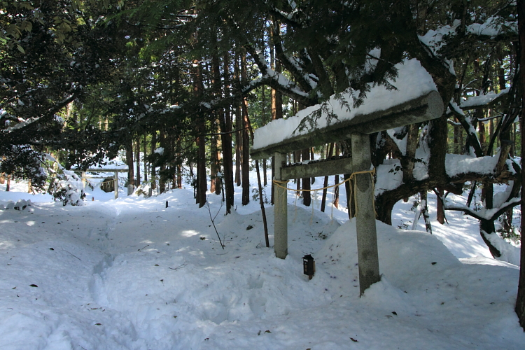 e0051888_23521850.jpg