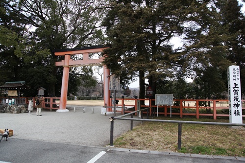 e0229992_12432790.jpg
