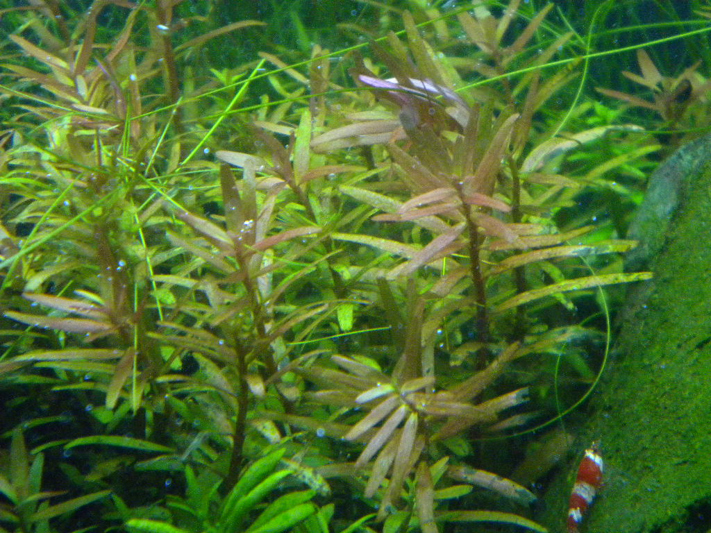 f0138093_7475355.jpg
