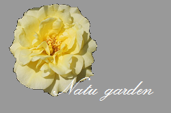 b0207995_17291966.png