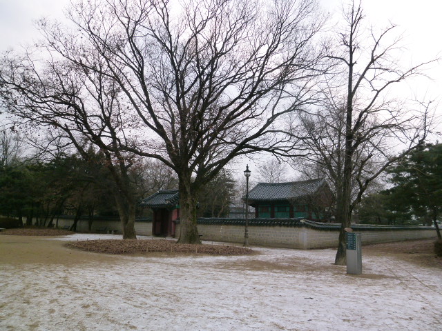 a0140305_22283.jpg