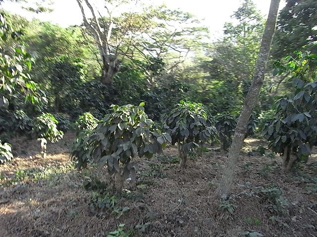 a0247515_18106100.jpg