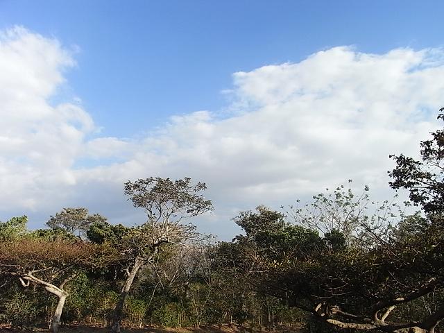 a0247515_1811220.jpg