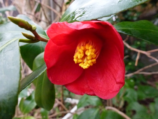 c0042418_9353100.jpg