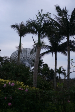 f0097620_031981.jpg