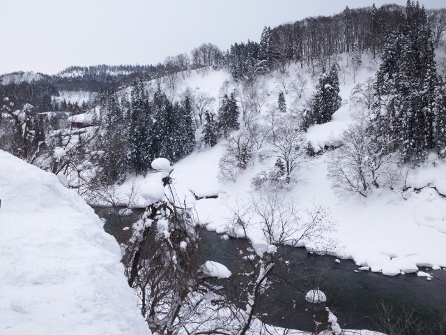 b0199924_1451890.jpg