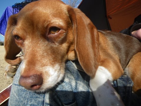 f0046250_1351412.jpg