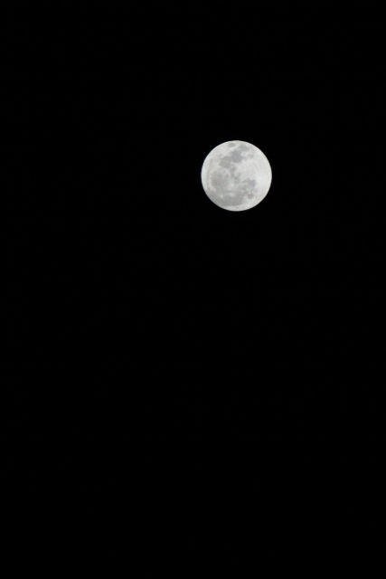 b0248954_8172164.jpg