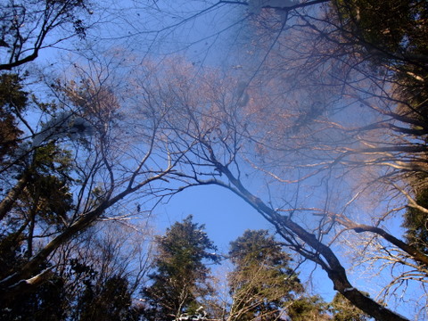 a0043982_1561060.jpg