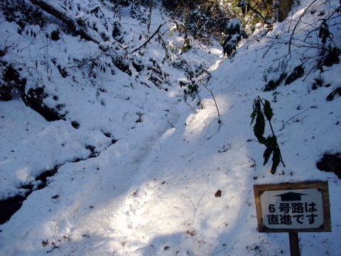 a0043982_1561983.jpg