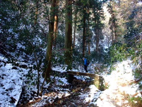 a0043982_1562874.jpg