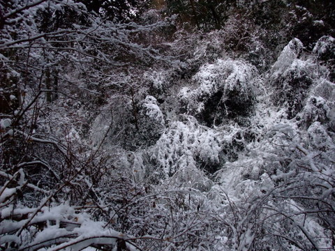 a0043982_157890.jpg