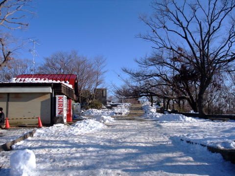 a0043982_1651594.jpg