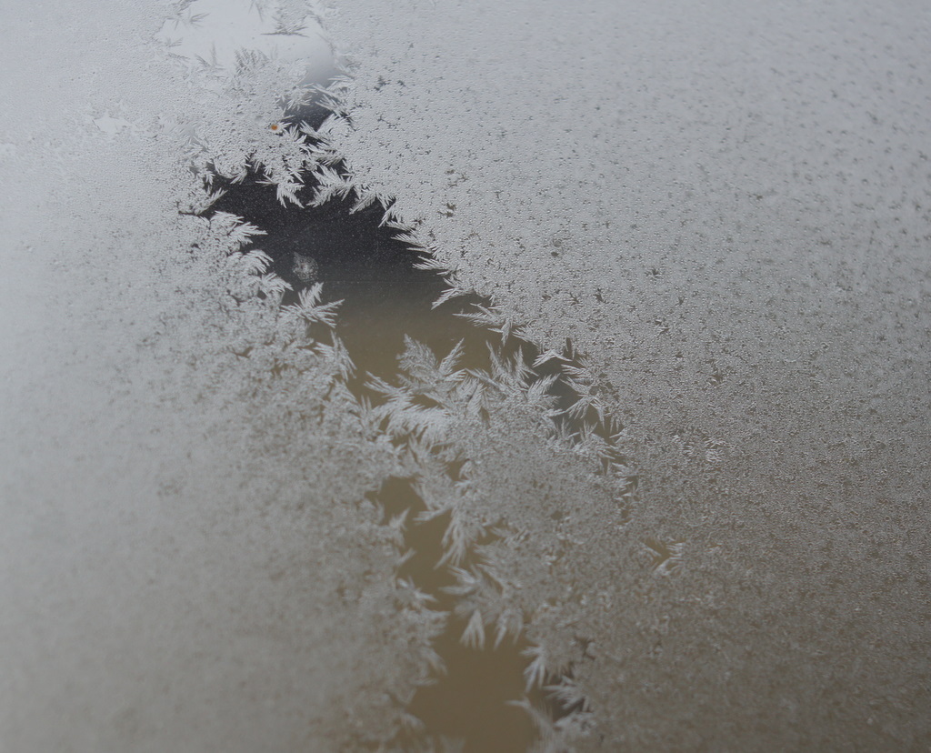 c0180686_522014.jpg