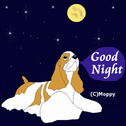b0194496_22302930.gif