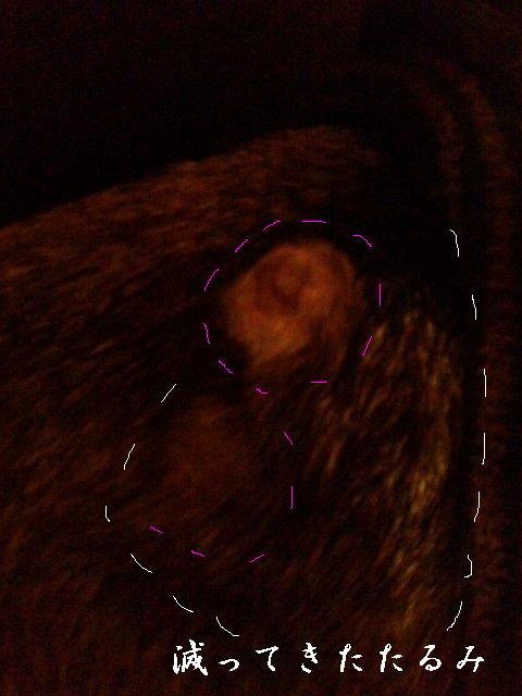 b0234697_7593679.jpg