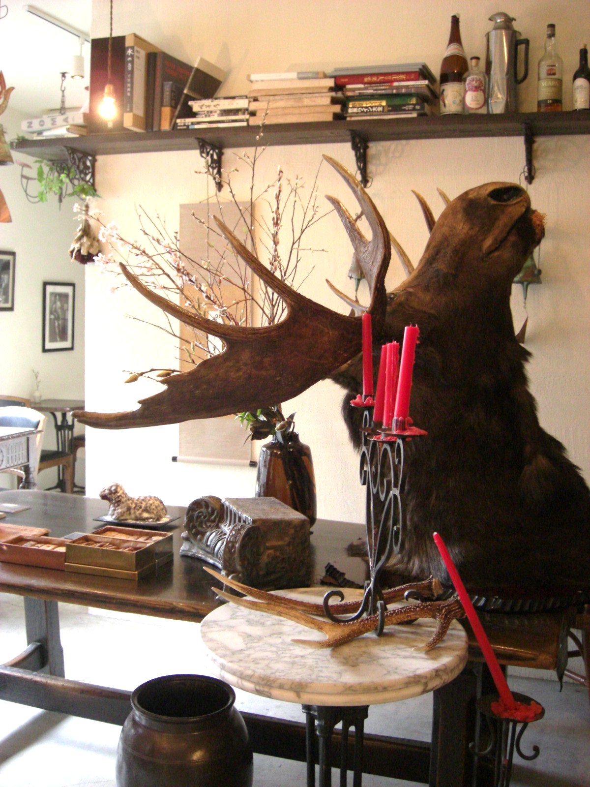 c0137300_170911.jpg