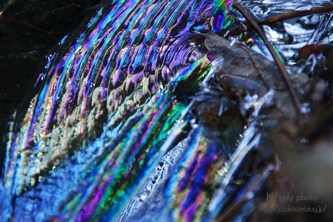 e0008800_11264695.jpg