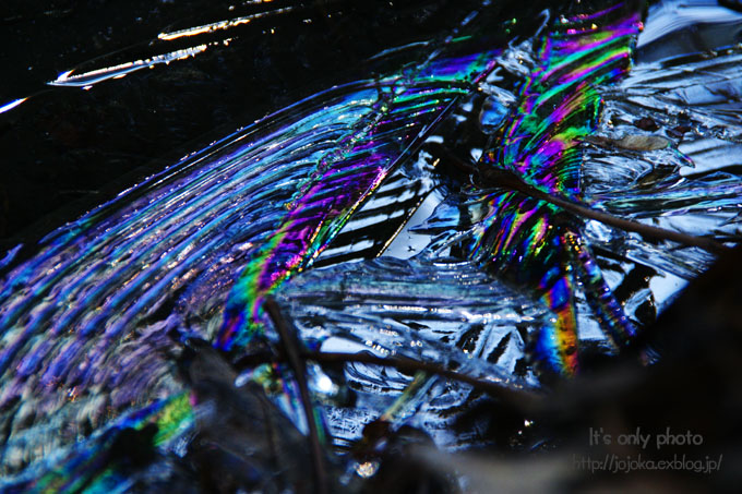 e0008800_1126744.jpg