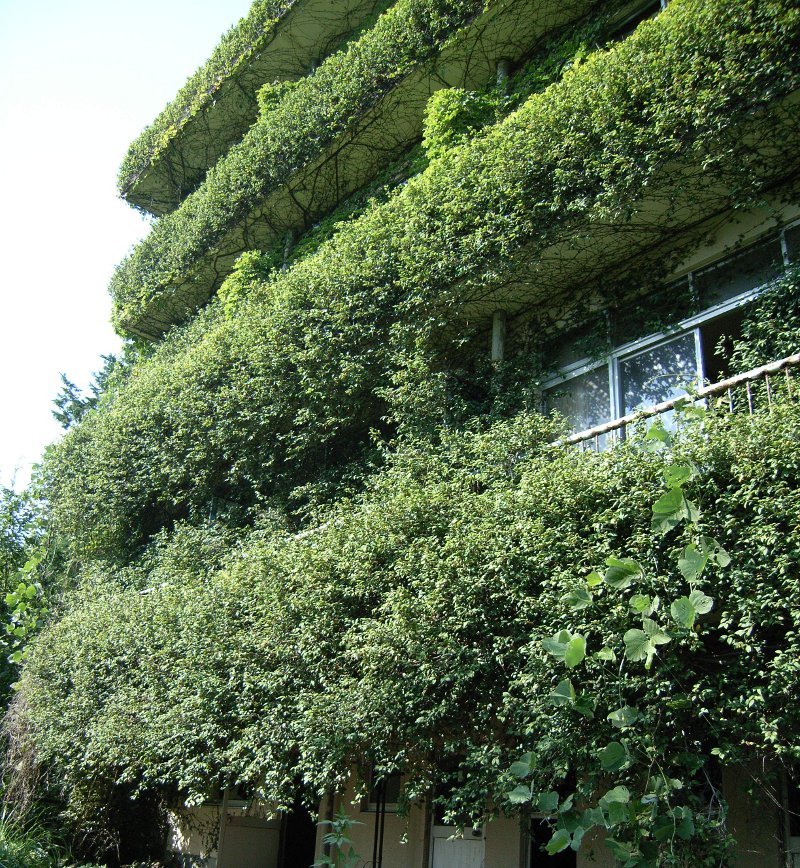 c0072801_11556.jpg