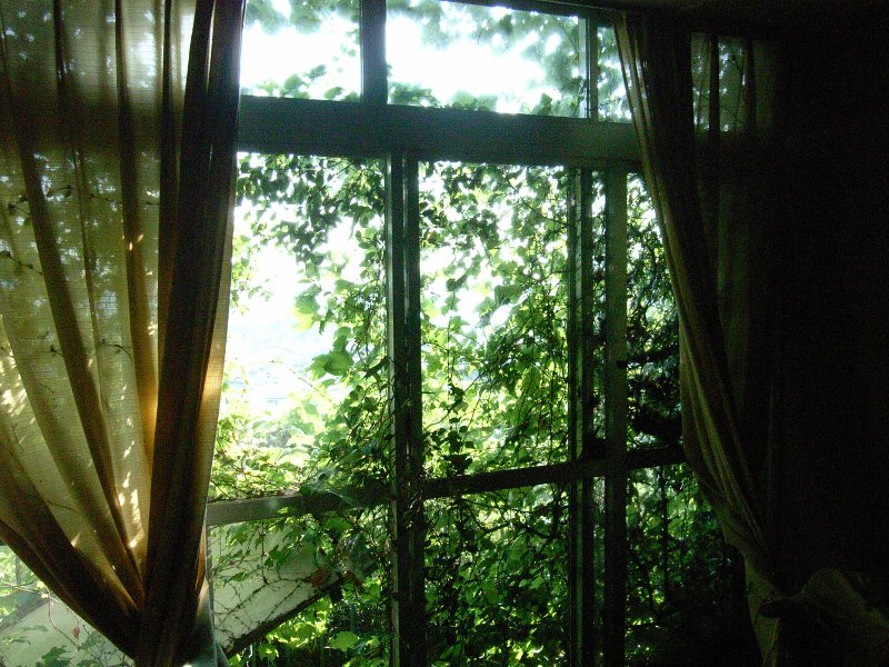 c0072801_12171.jpg