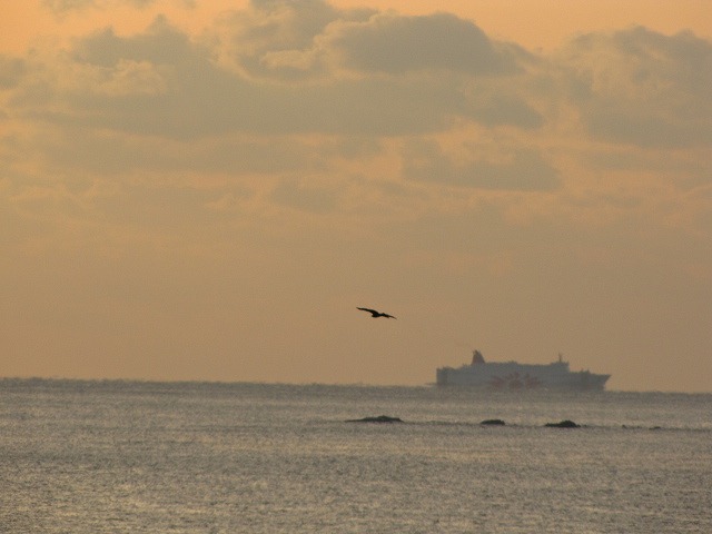 d0037110_2041390.jpg