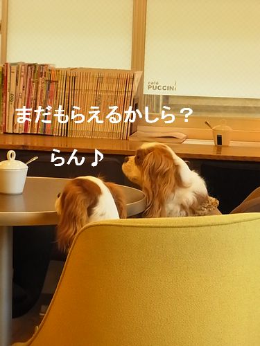f0214121_21534666.jpg