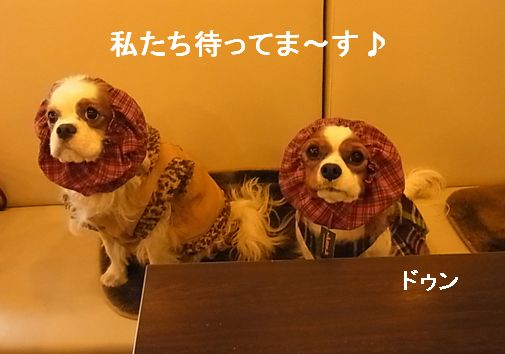 f0214121_2203539.jpg