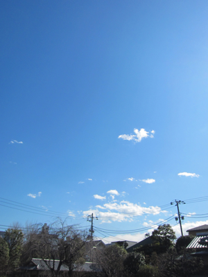c0157625_20192526.jpg