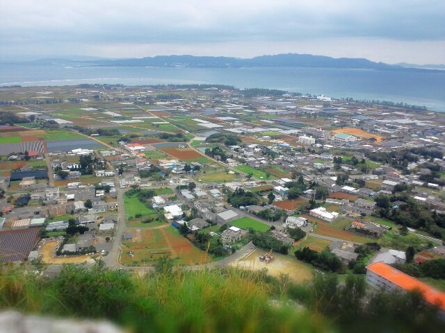 a0126128_0254919.jpg