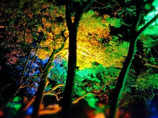 a0126128_0254939.jpg