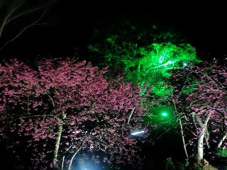 a0126128_0254980.jpg