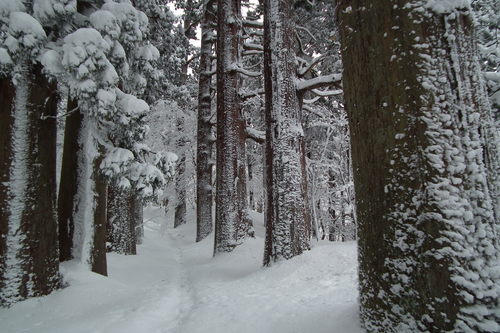 f0118332_2327252.jpg