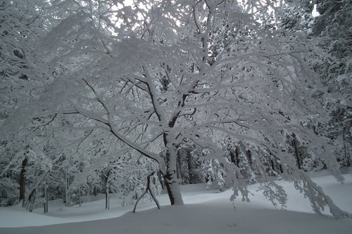 f0118332_23274488.jpg