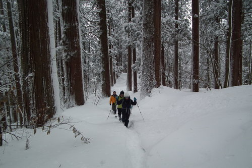 f0118332_2328690.jpg