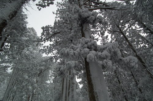 f0118332_23294118.jpg