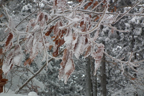 f0118332_23302940.jpg