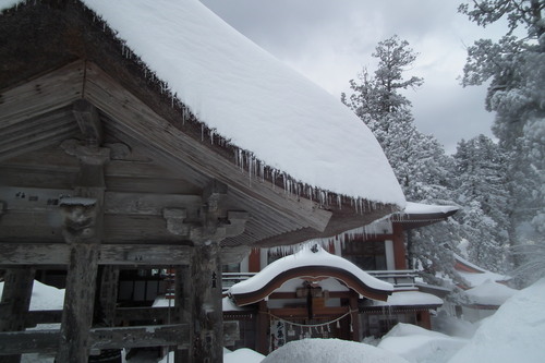 f0118332_2335278.jpg