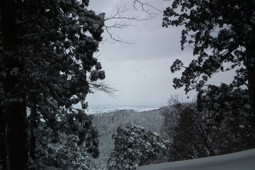 f0118332_23364128.jpg