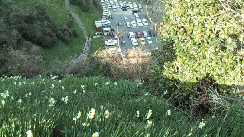 b0011334_22592537.jpg