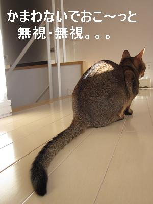 c0234938_1651650.jpg
