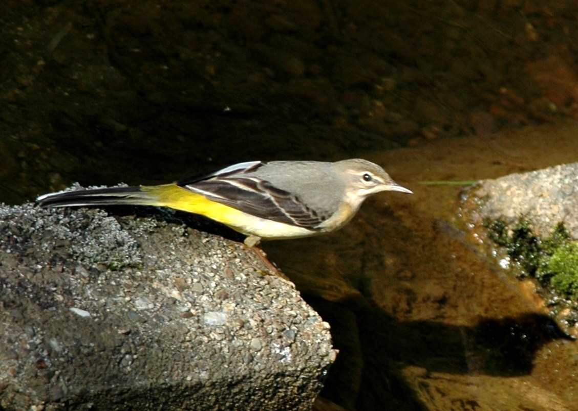 c0172139_22241222.jpg