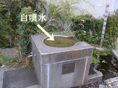 自噴水